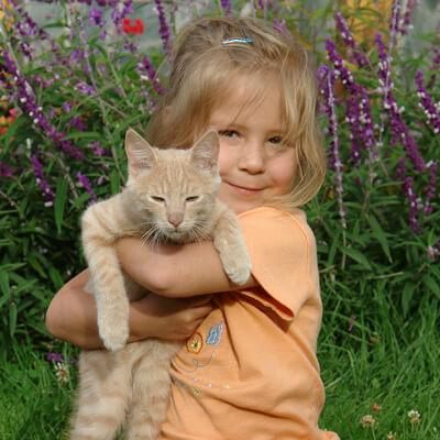 Child with Cat